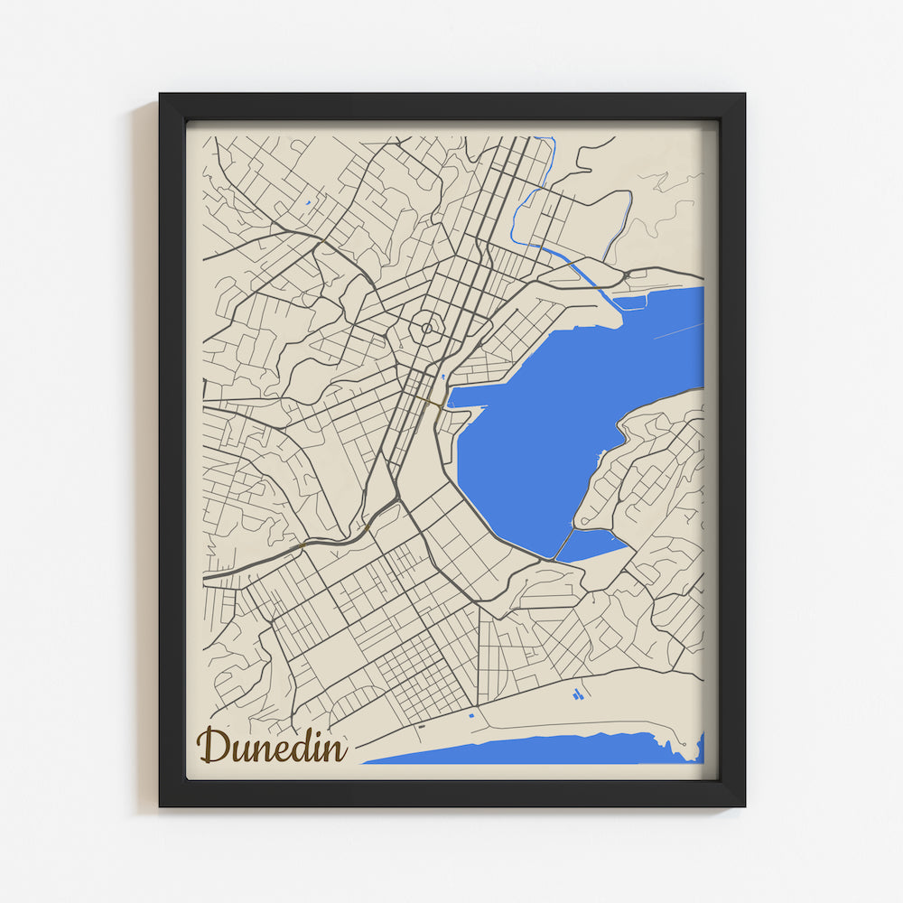 Dunedin Map